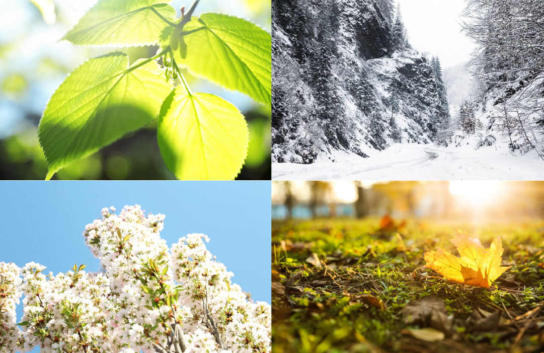 自動照明イメージ